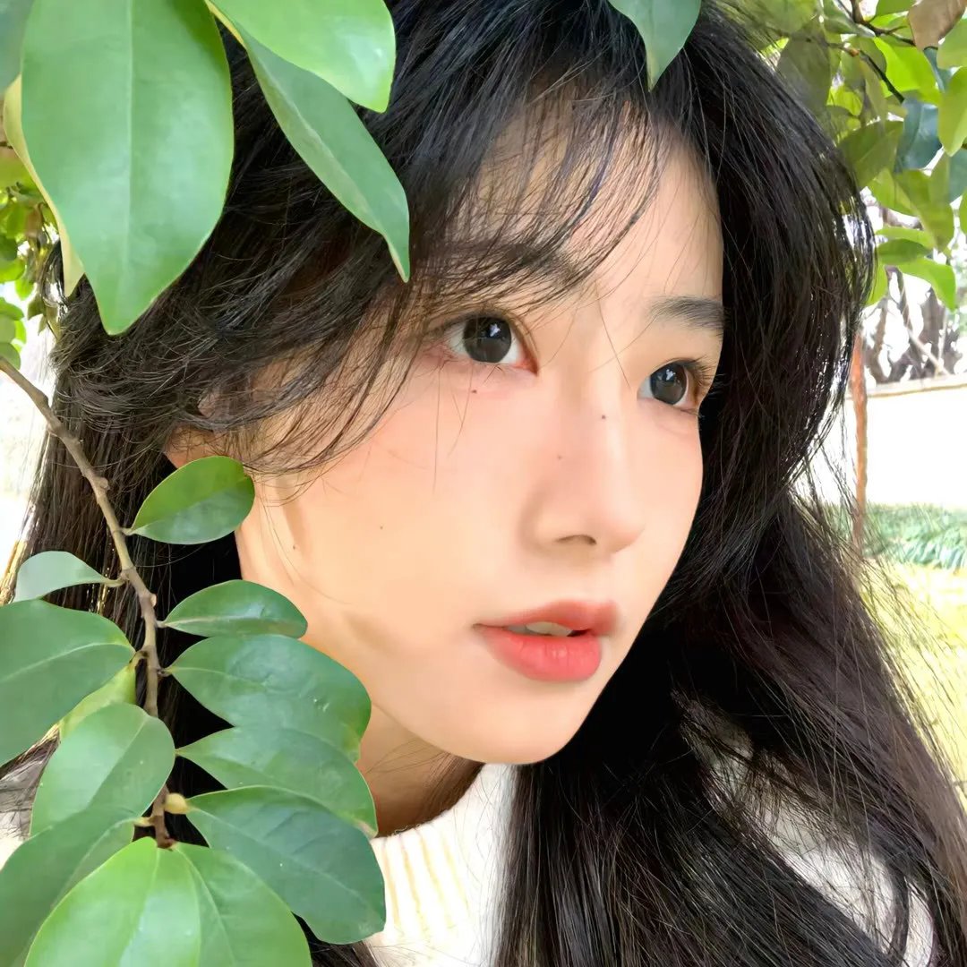 春满兰宫